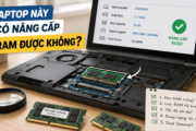 Laptop mở nắp đáy để kiểm tra khe RAM trước khi nâng cấp RAM
