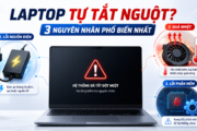 Máy tính tự tắt nguồn đột ngột do nguồn nhiệt độ hoặc phần mềm