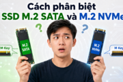 Cách phân biệt SSD M.2 SATA và NVMe